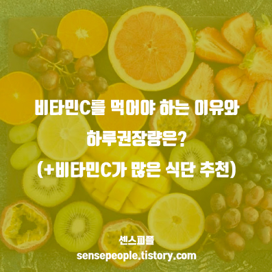  비타민C를 먹어야 하는 이유와 하루권장량은? (+비타민C가 많은 식단 추천)