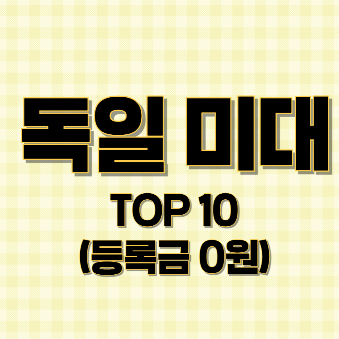 독일미대