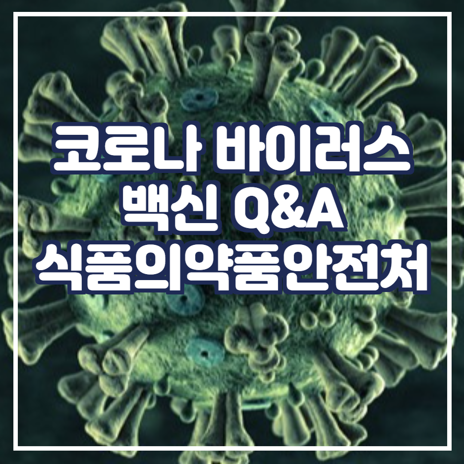  코로나 바이러스 백신 Q&A 살펴보기  / 식품의약안전처