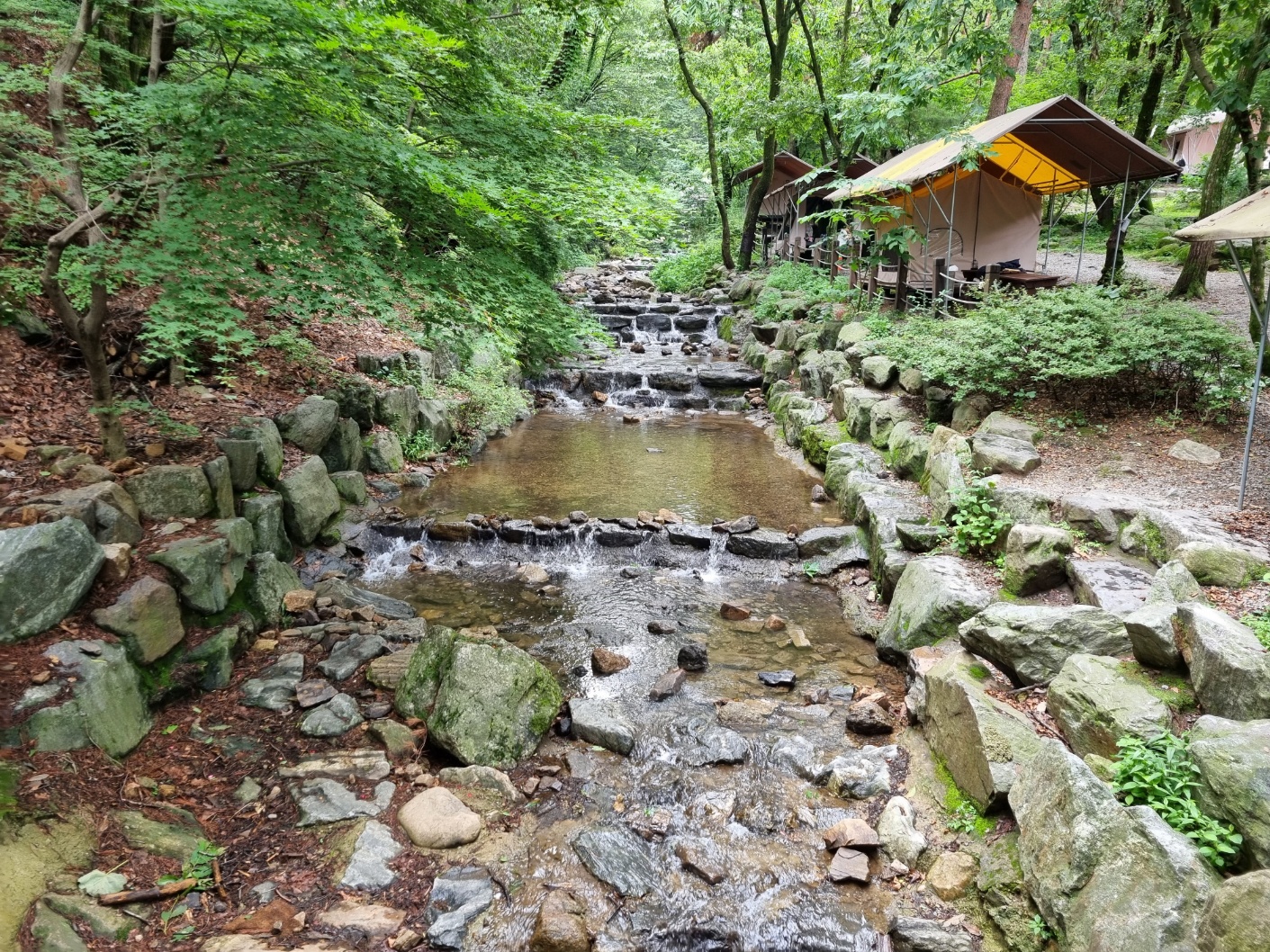 서울대공원 캠핑장 계곡 및 산책로