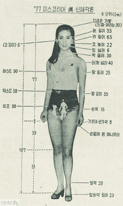 진;眞 이미지