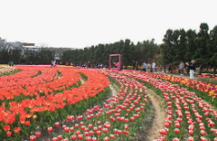 화담숲 예약방법