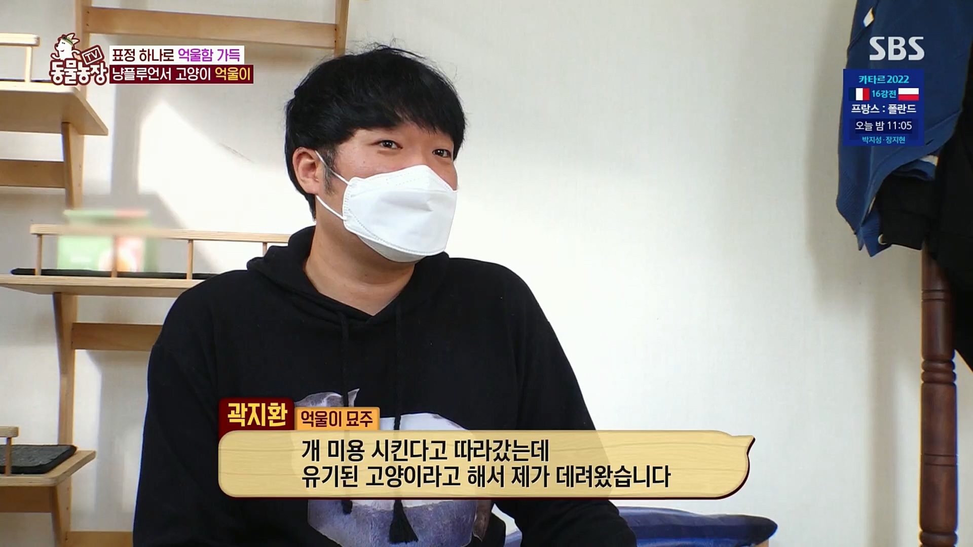 TV 동물농장.E1098.221204p.H264-F1RST.mp4_20221204_175411.430.jpg