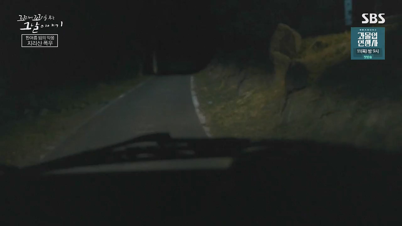 꼬리에 꼬리를 무는 그날 이야기.E134.240628p-NEXT.mp4_20240629_155322.597.jpg