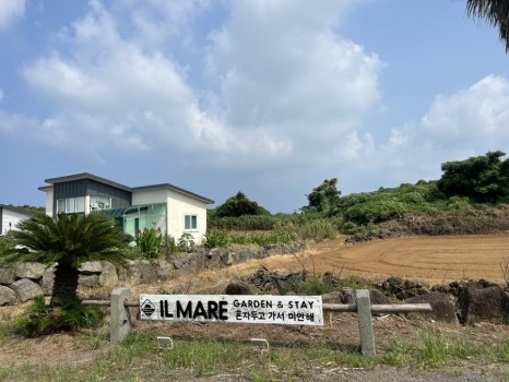 제주도 애견동반 펜션은 제주도 독채펜션 일마레 가든 앤 스테이에서