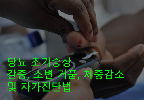 당뇨 초기증상 갈증, 소변 거품, 체중감소 및 자가진단법
