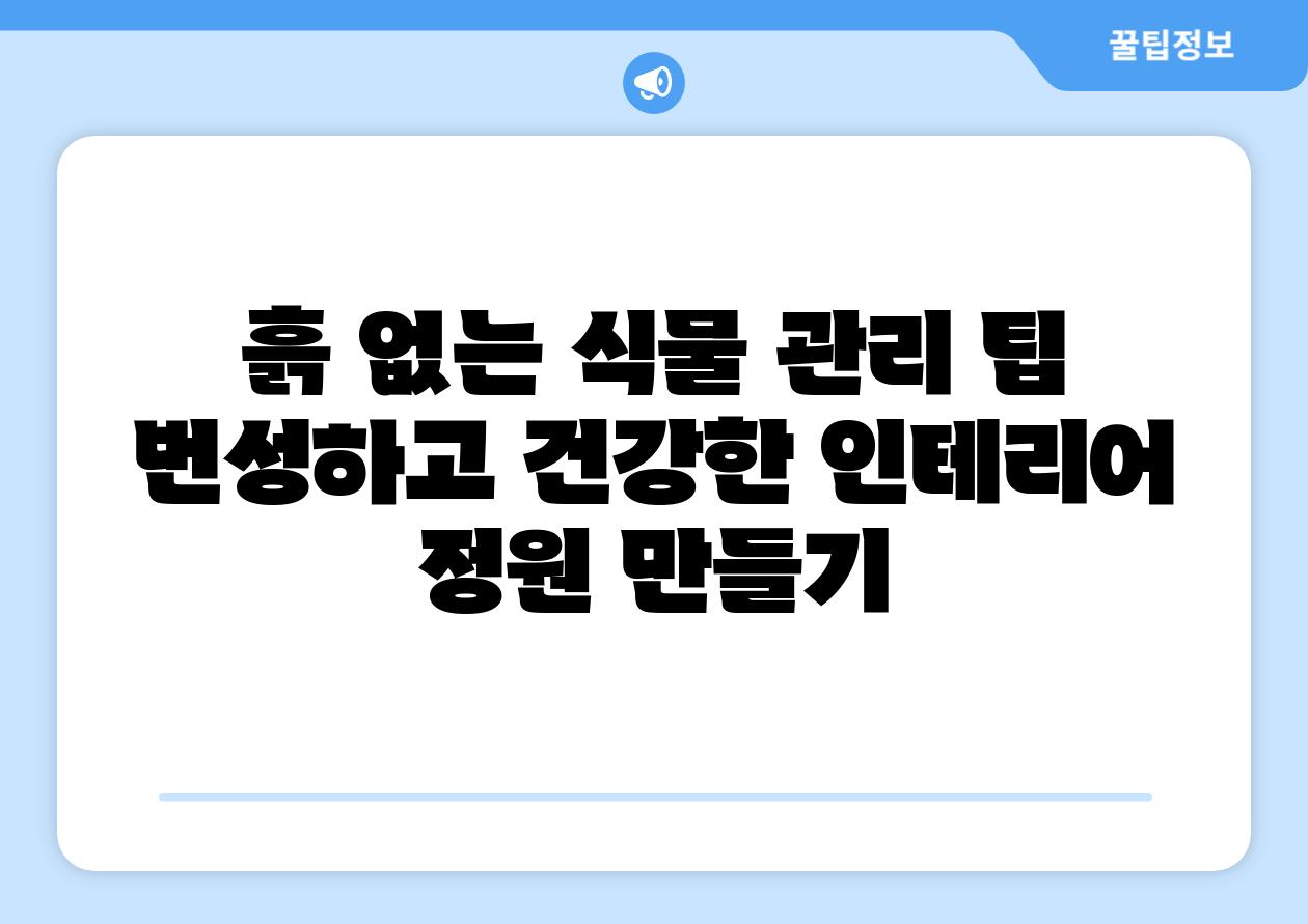 흙 없는 식물 관리 팁 번성하고 건강한 인테리어 정원 만들기