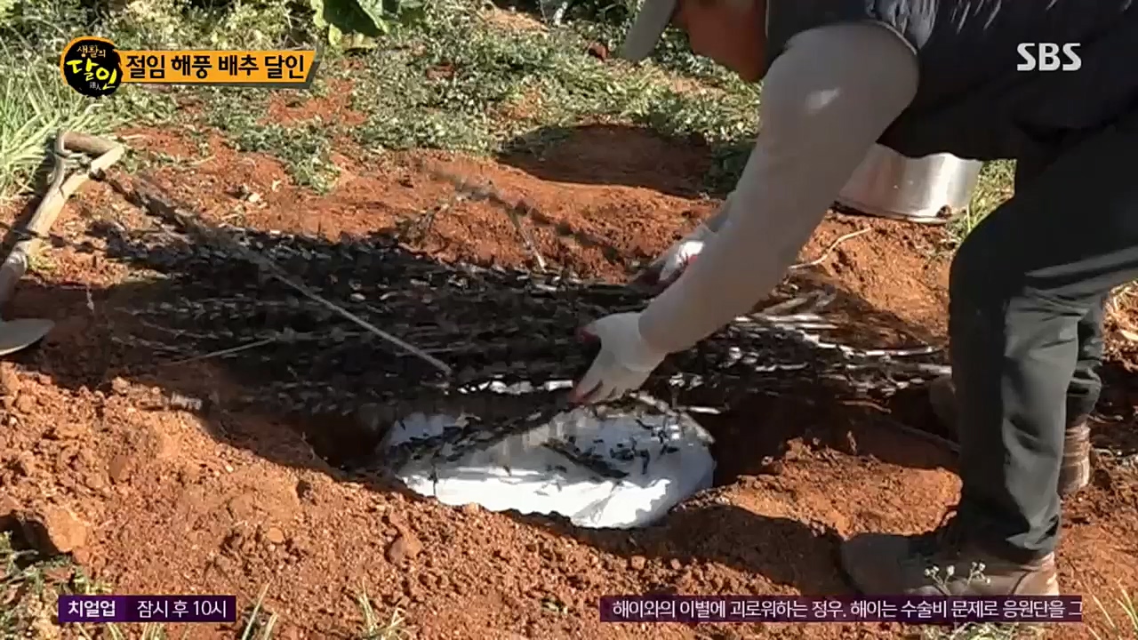 생활의 달인.E868.221213p.H264-F1RST.mp4_20221213_194323.600.jpg