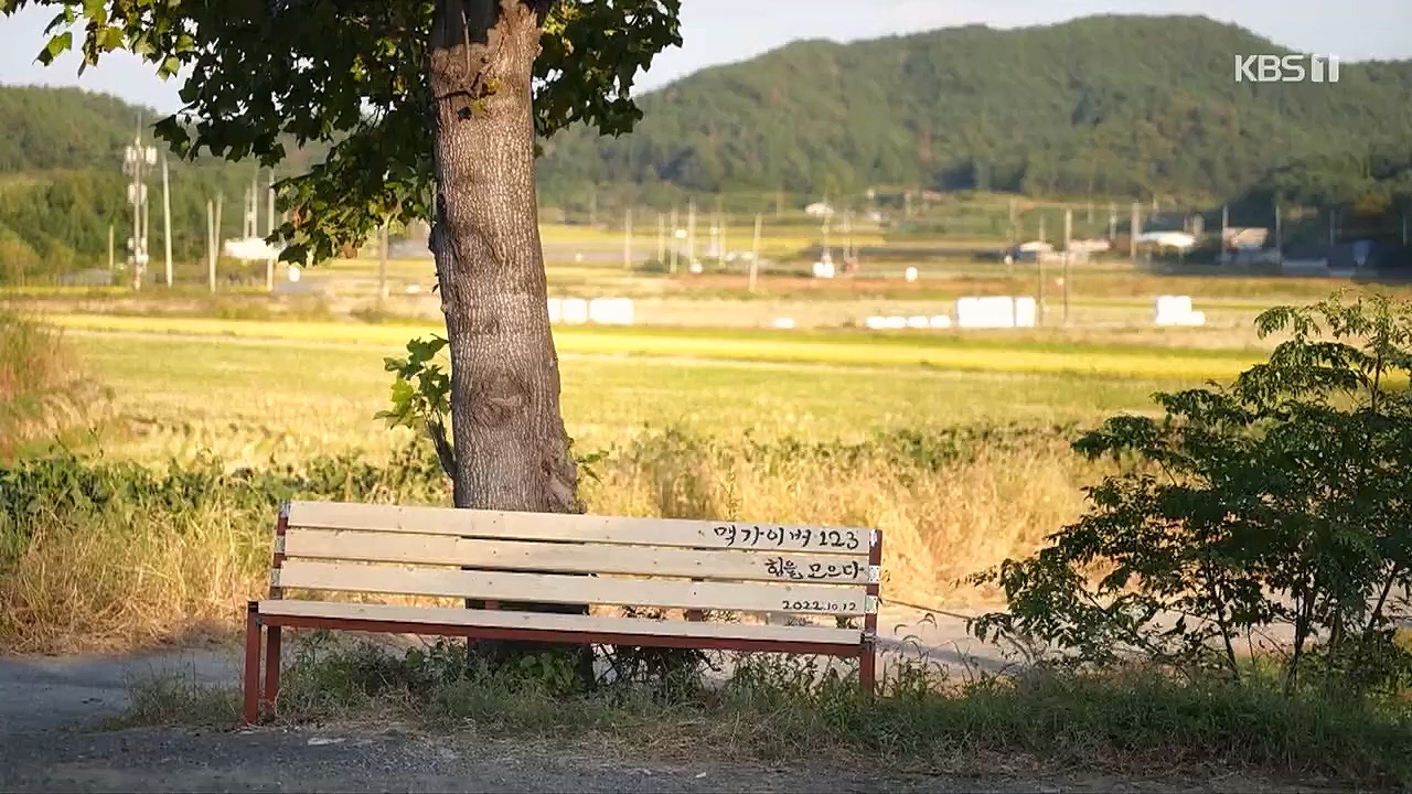 다큐 On.E179.221231p.H264-F1RST.mp4_20230109_210009.695.jpg