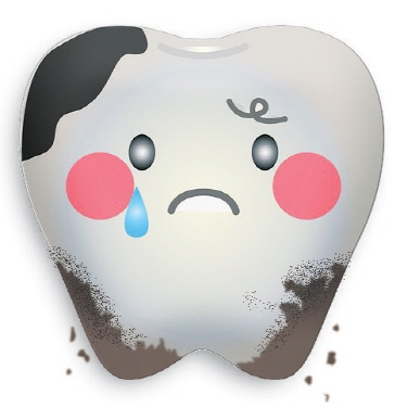  건강정보