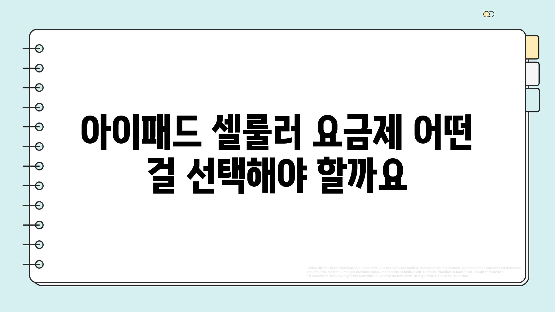 아이패드 셀룰러 요금제 어떤 걸 선택해야 할까요