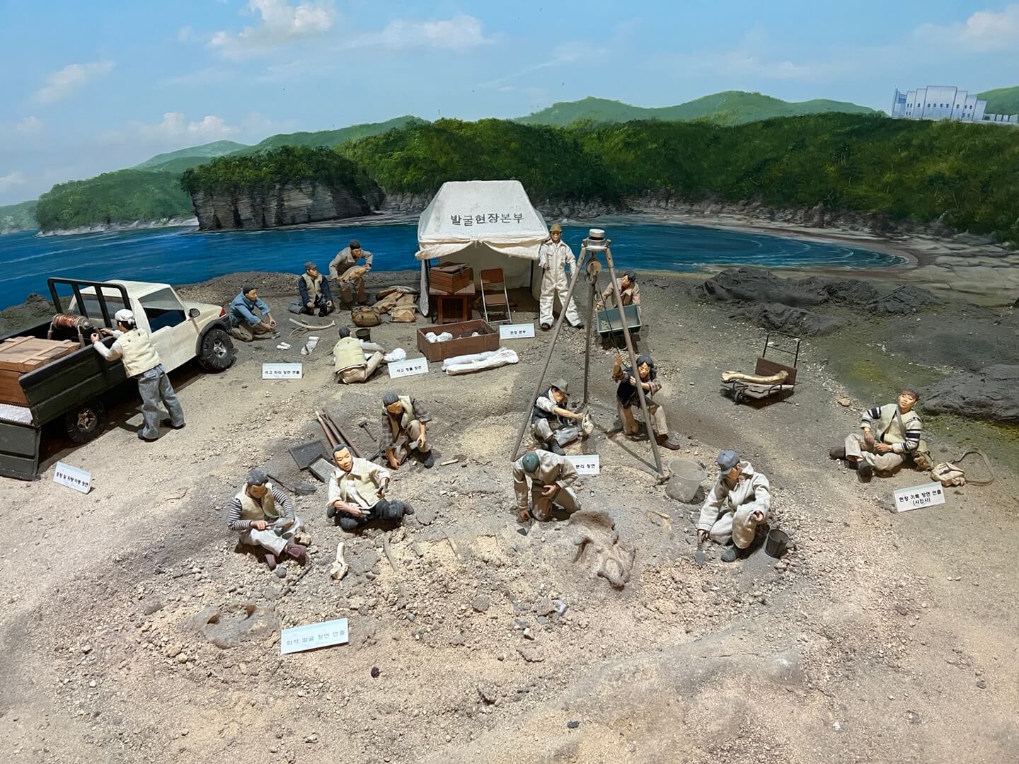 민수랜드-고성공룡박물관 발굴현장본부