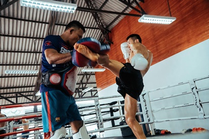 삼보 무술가이드 6탄, ufc와 mma에서 활용되는 삼보