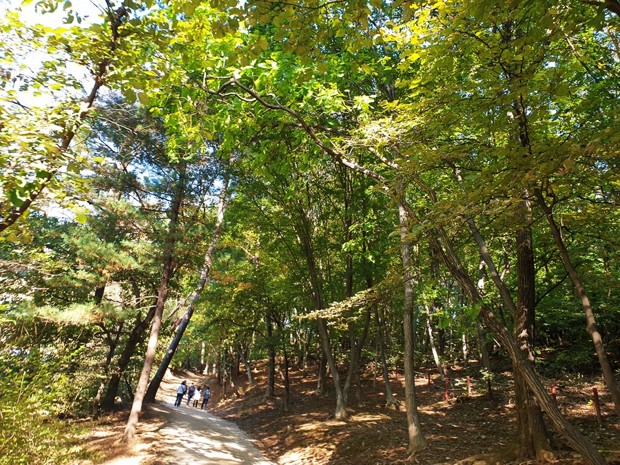 테조-이성계의-능-에서-옆으로-올라가면-목릉이-나온다