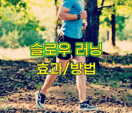 슬로우-러닝-효과
