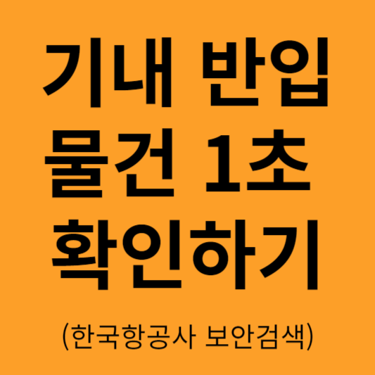 기내 반입 물건 확인 썸네일