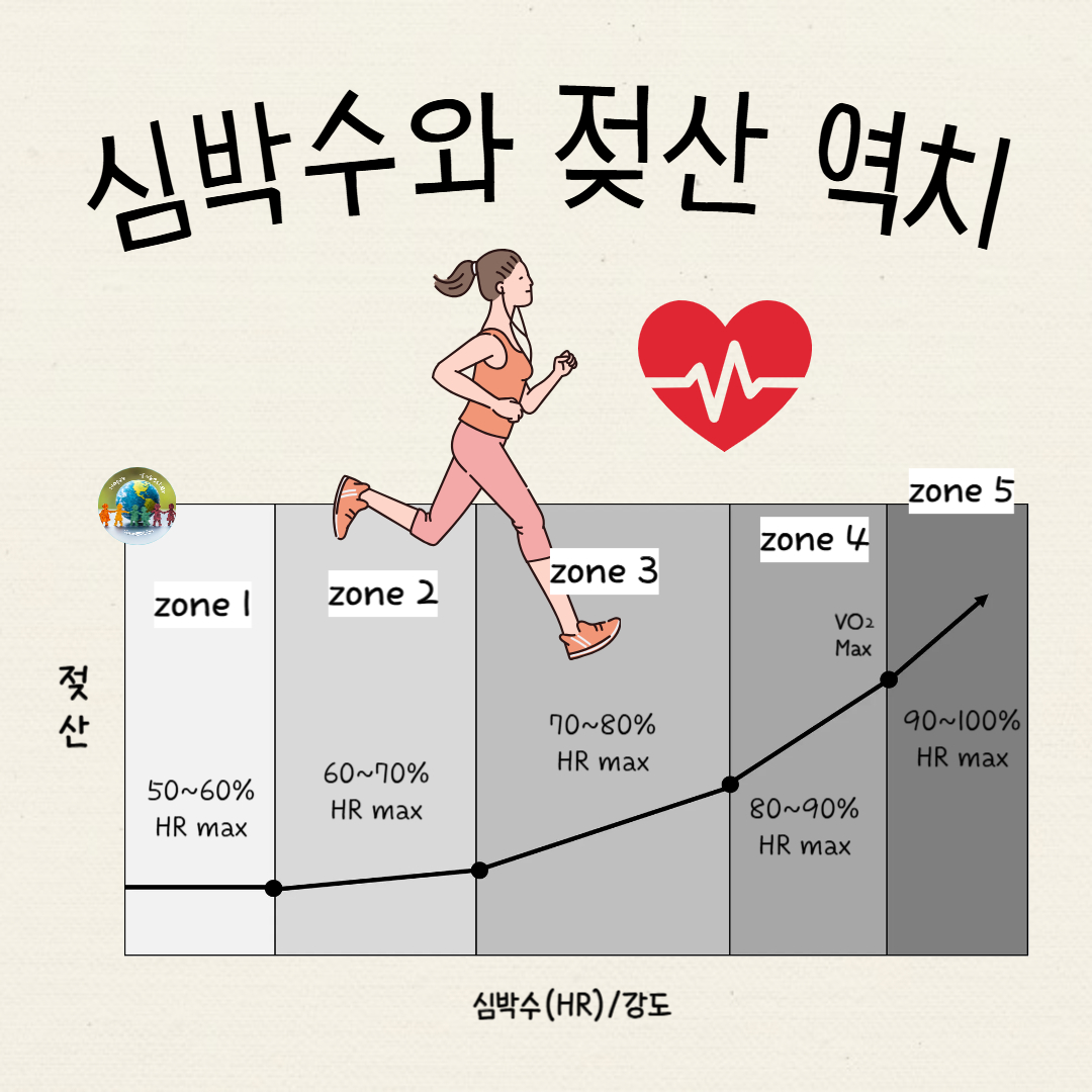 젖산역치