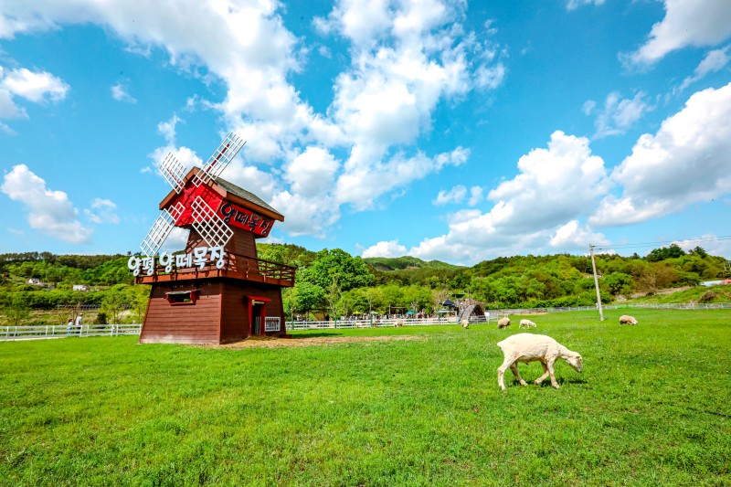  양평 가볼만한곳 베스트10