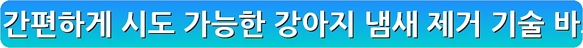 집안에서 간편하게 시도 가능한 강아지 냄새 제거 기술_10