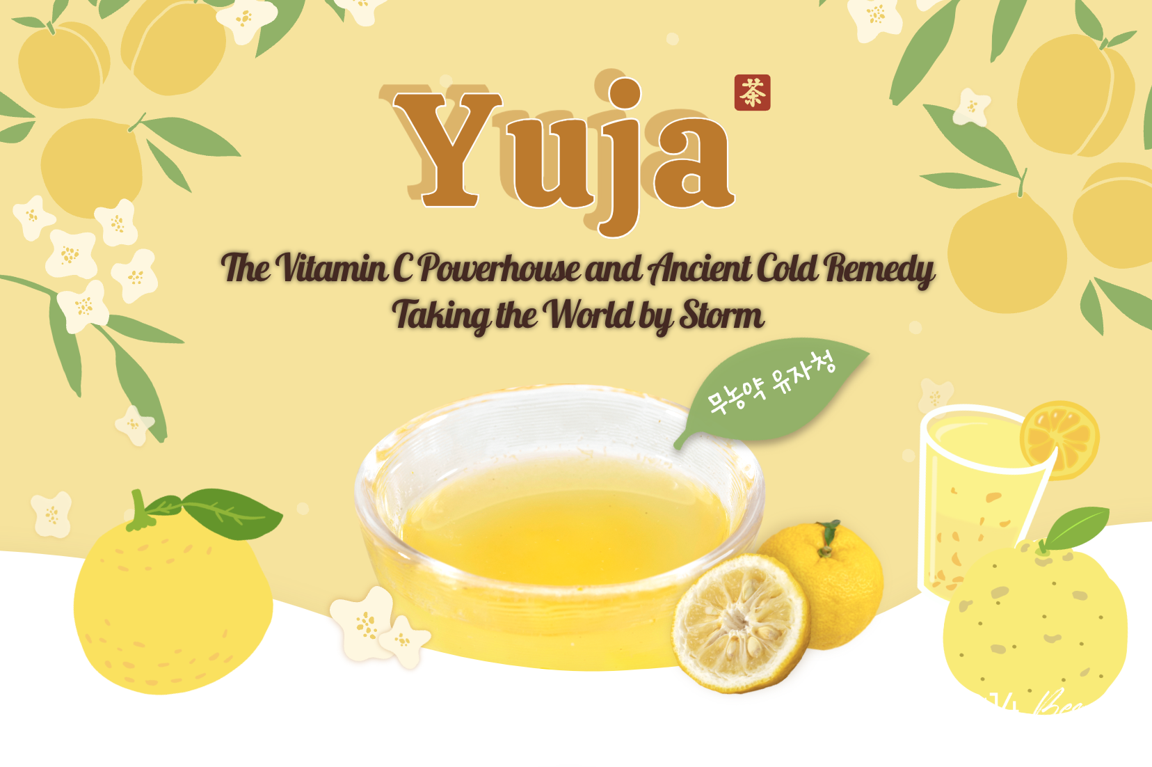 yuja-the-vitamin-c-powerhouse-and-ancient-cold-remedy-taking-the-world