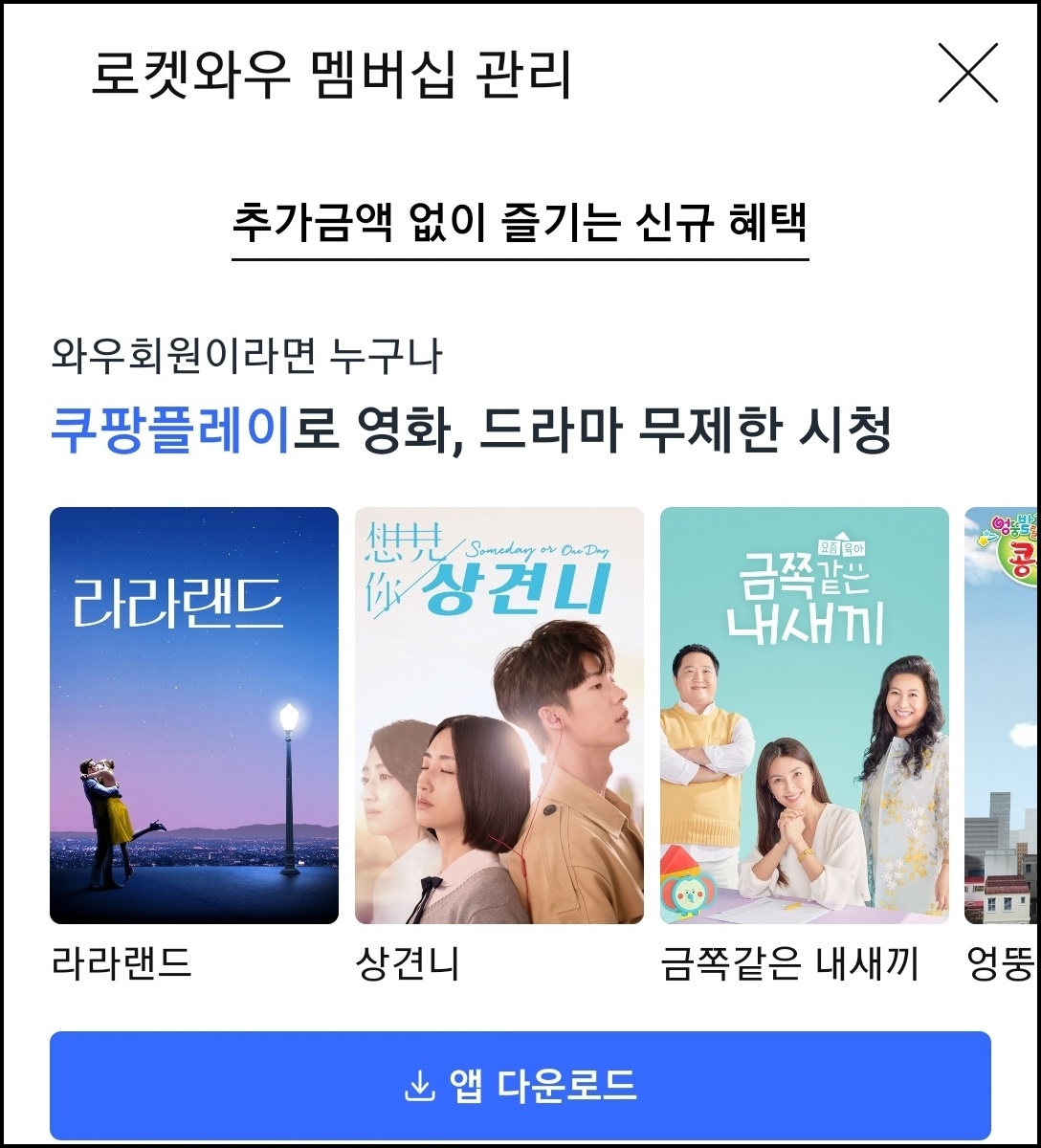  [쿠팡와우 리뷰]한달 4,990원 로켓와우로 당일배송까지,  쿠팡플레이로 ott 무료로 온가족이 즐기기(feat.프리미어리그 손흥민경기 시청)