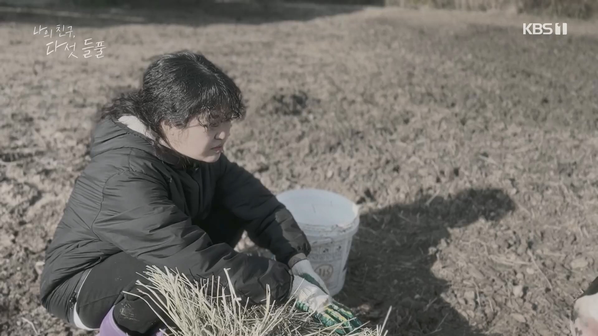 특집 다큐 나의 친구, 다섯 들풀.240119p.H264-F1RST.mp4_20240121_151735.785.jpg