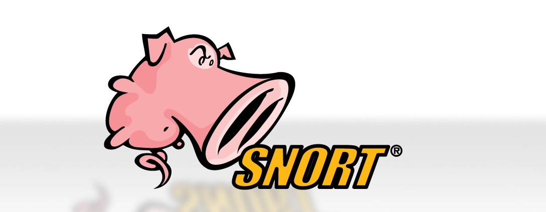 Snort 공식 사이트