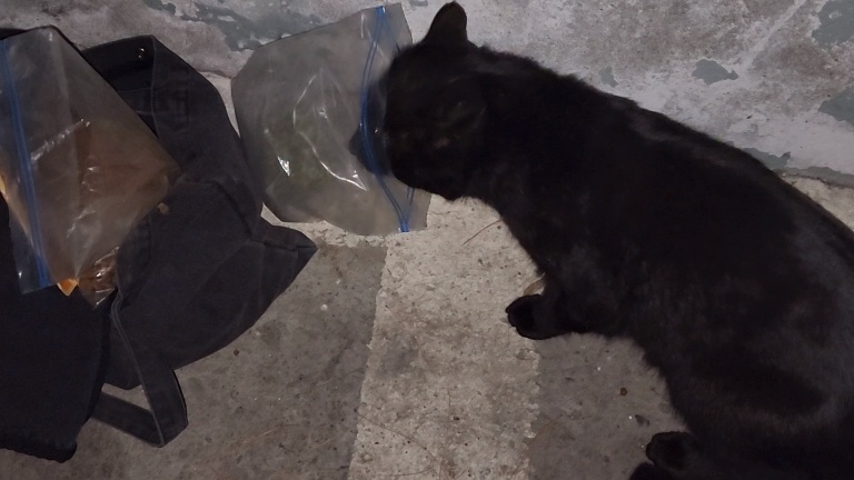 너 곰이야? 7