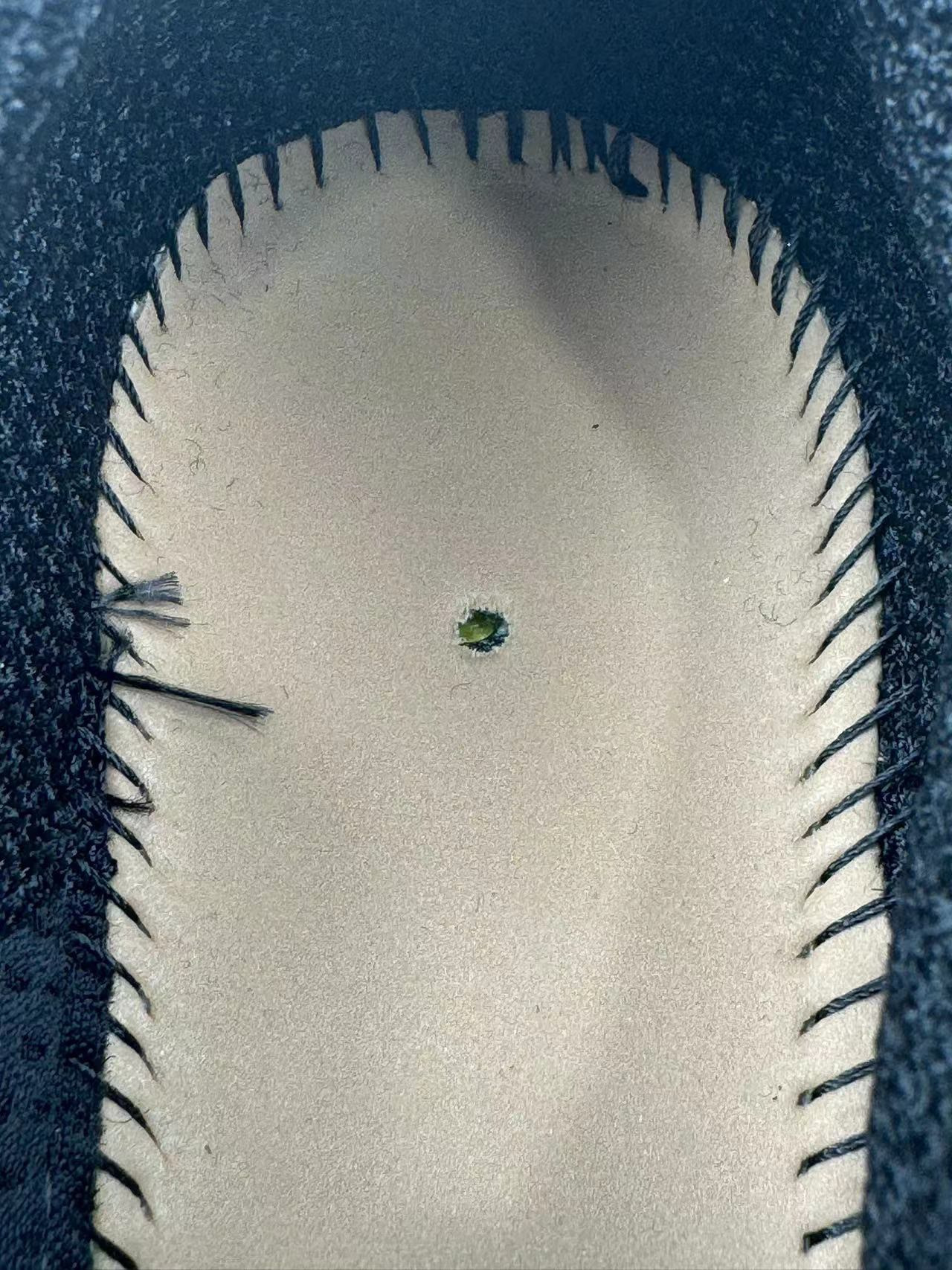 img.jpg