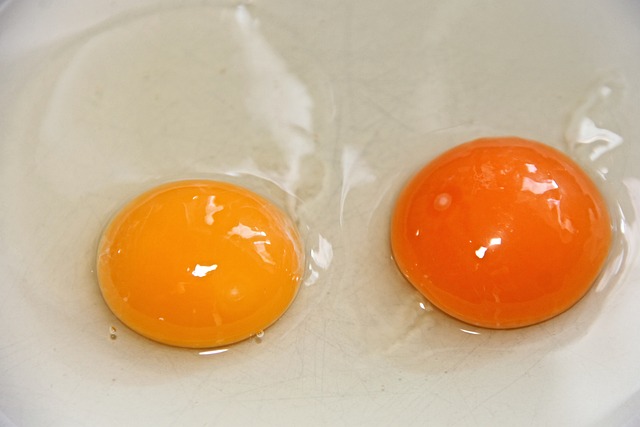 달걀 노른자 두개