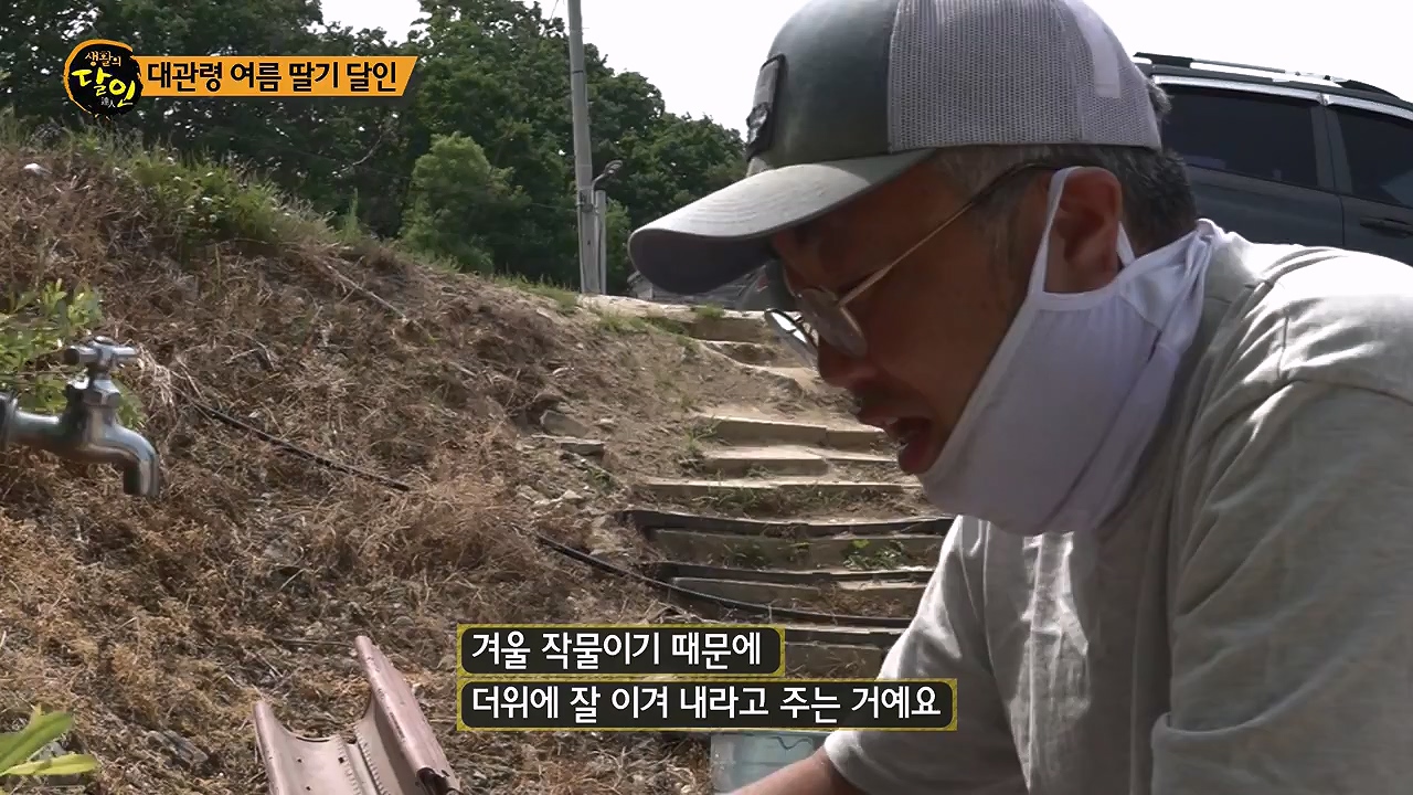 생활의 달인.E941.240625p-NEXT.mp4_20240625_211152.173.jpg