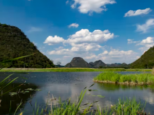 알츠하이머 초기 증상