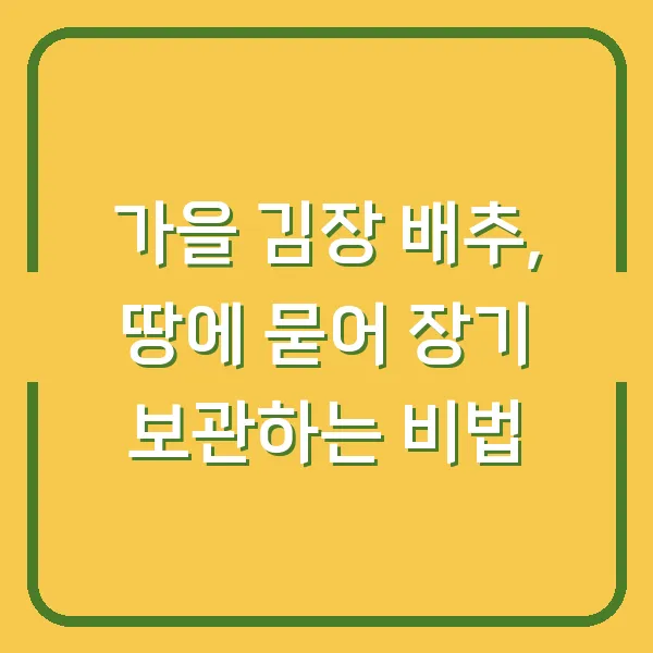 가을 김장 배추, 땅에 묻어 장기 보관하는 비법