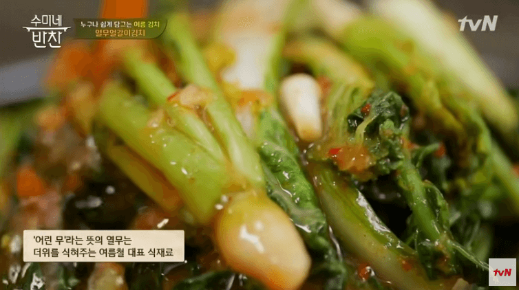 열무김치 맛있게 담그기 김수미 열무김치 황금레시피