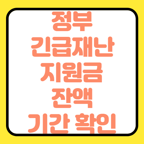  정부재난지원금 사용기간 사용기한 잔액 조회