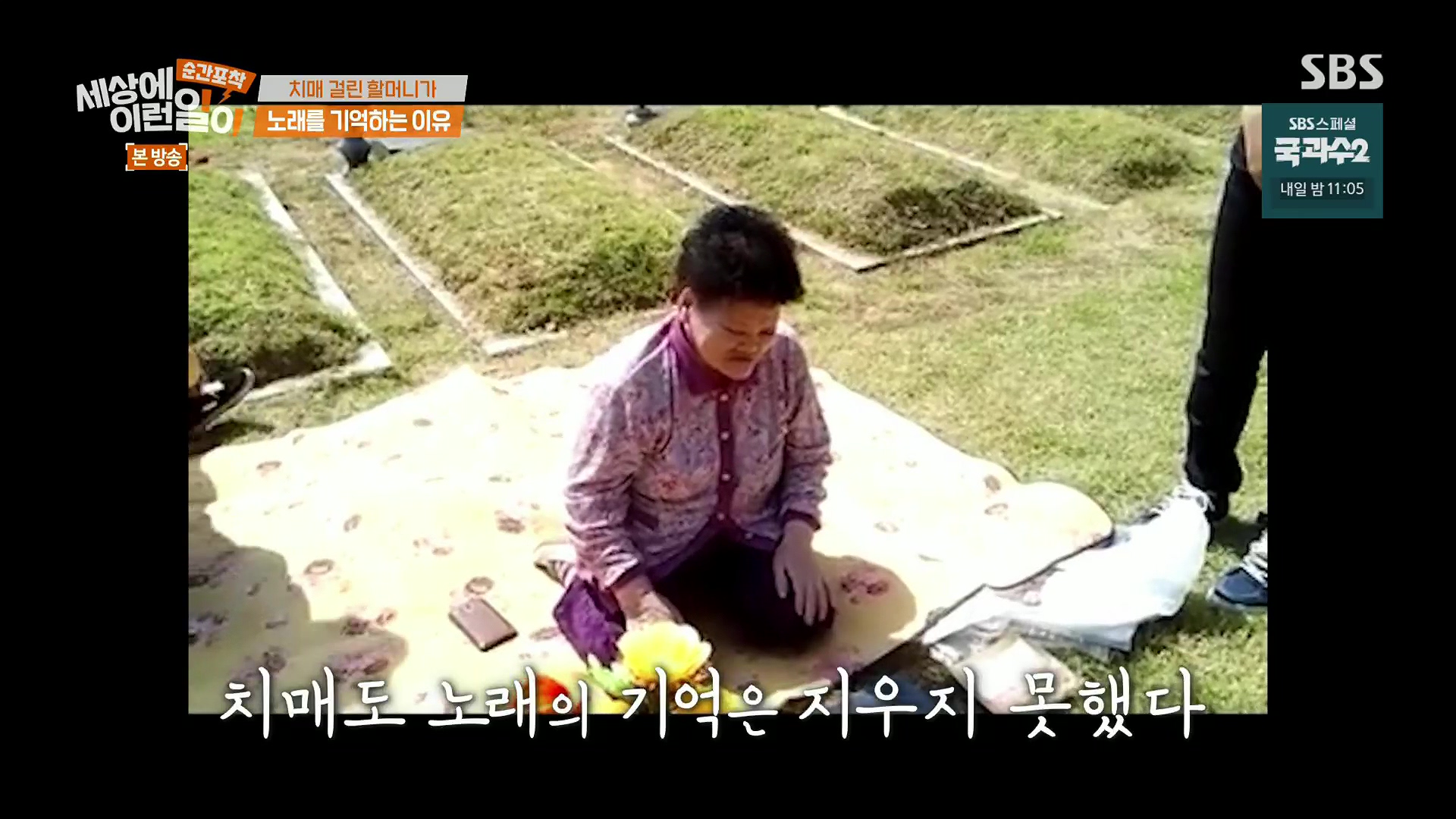 순간포착 세상에 이런일이.E1245.230909p.H264-F1RST.mp4_20230910_171014.756.jpg