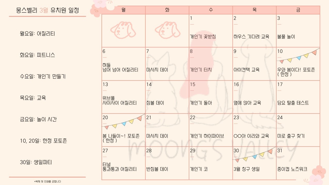 촬영 근육통 하반신마비 두통 중풍의 반신불수에 탁월한 효능 부작용 구입 방법 틈새 알바 이거 어때 추천