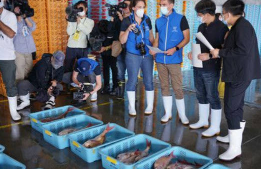 China Joins IAEA in Fukushima Fish Radiation Testing for the First Time