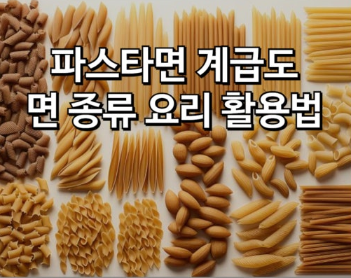 파스타면 계급도 집에서 즐기는 파스타면 선택
