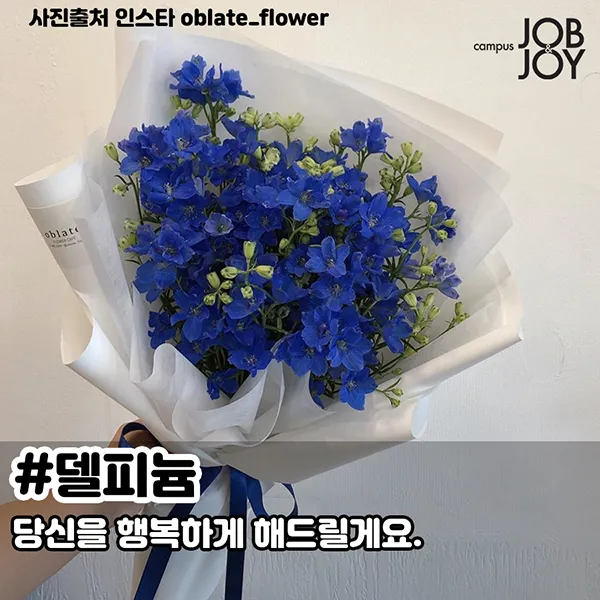예쁜 꽃말 추천 모음 이해할수록 매력적인 꽃들의 꽃말 안내 모음_3
