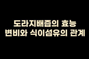  변비에 좋은 도라지배즙, 변비와 식이섬유의 관계