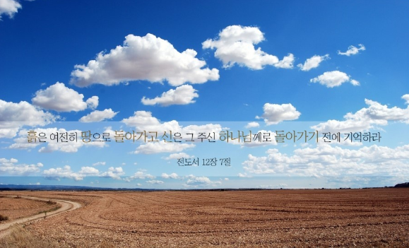 옹글다 이미지