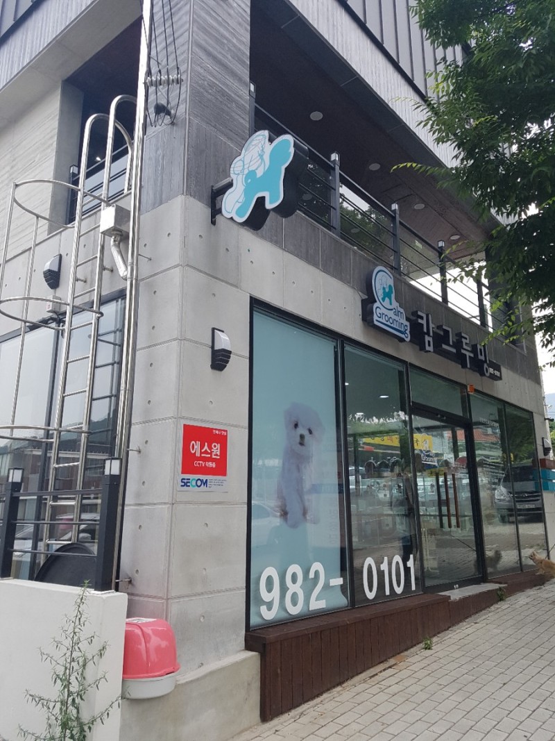  대구 팔공산 포메라니안 애견카페 캄그루밍 탐방기