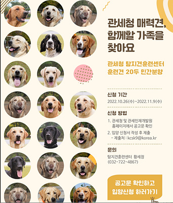 대형견(반려견) 무료 분양/관세청에서 기본탐지훈련 받은 매력견