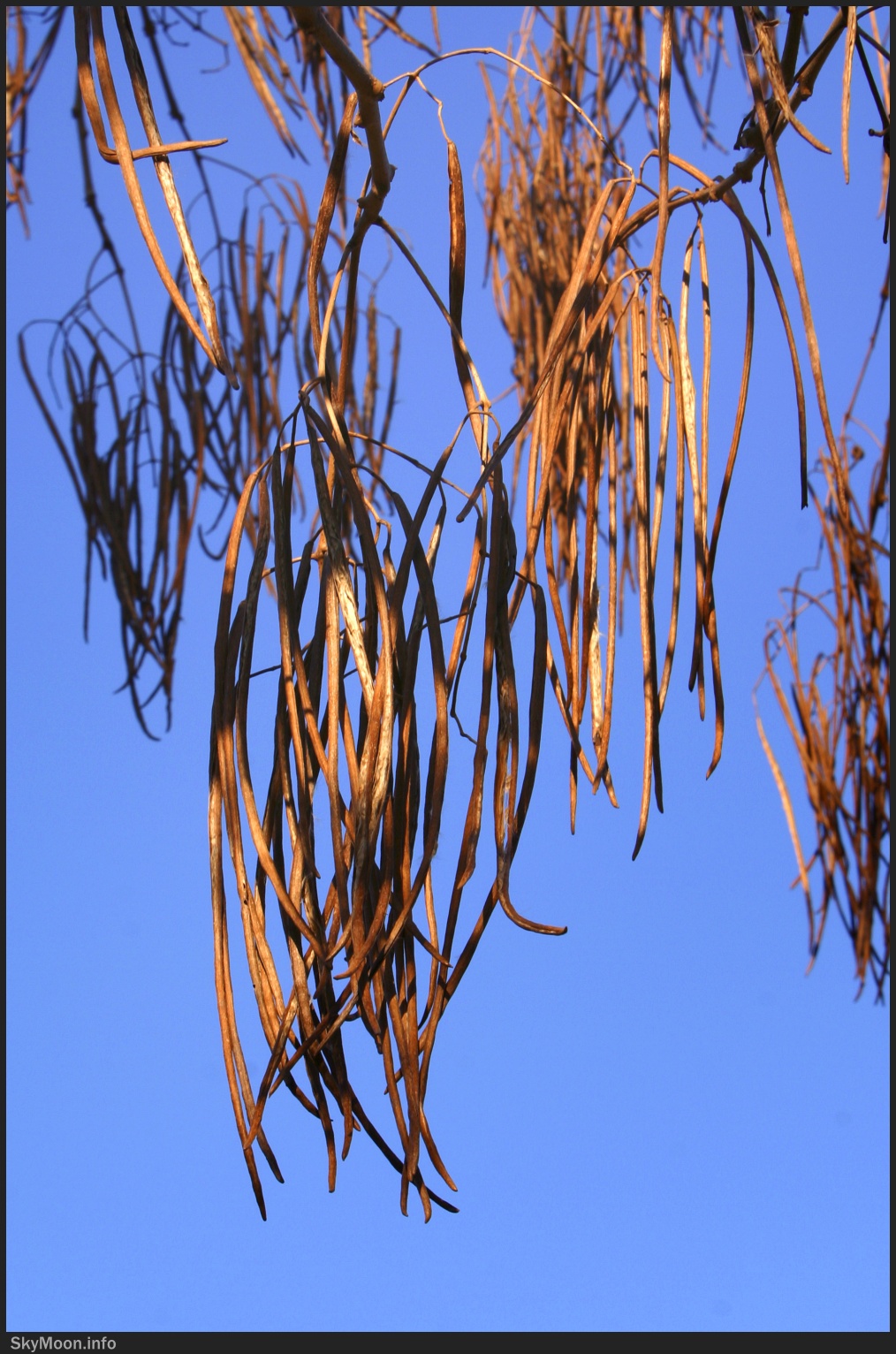 the-autumn-of-that-year-1-a
