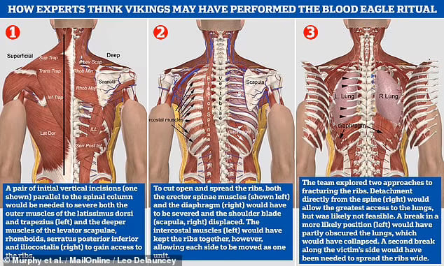 바이킹의 잔인한 의식 '블러드 이글'을 아시나요? VIDEO: Brutal Viking ritual called 'Blood Eagle' that involved carving the victim's back open