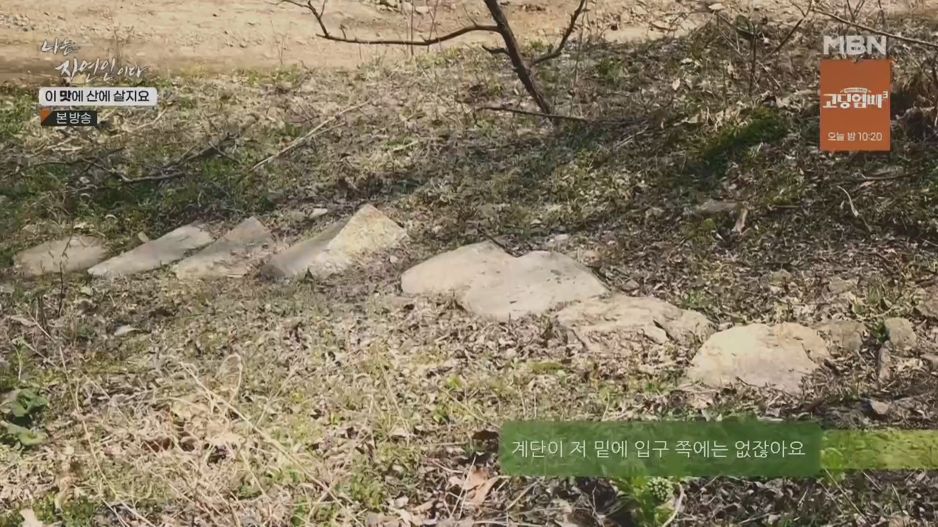 나는 자연인이다.E550.230419p.H264-F1RST.mp4_20230420_195643.042.jpg