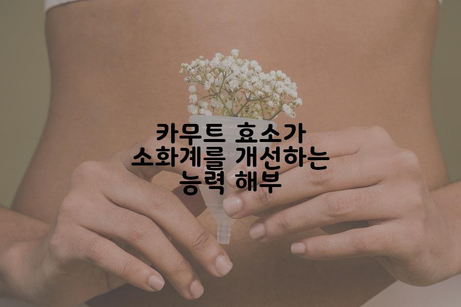 카무트 효소가 소화계를 개선하는 능력 해부