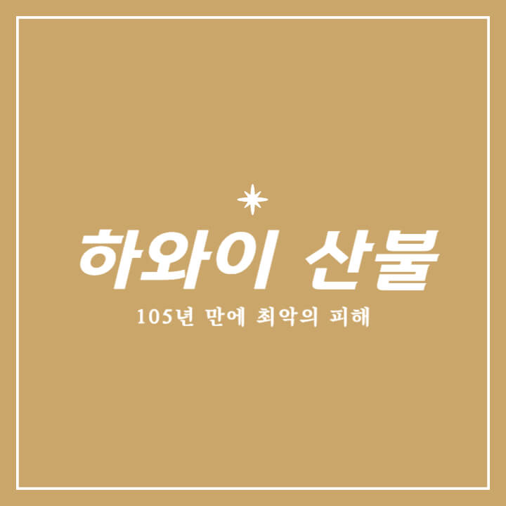  [이슈체크]미국 하와이 산불, 105년 만에 최악의 피해