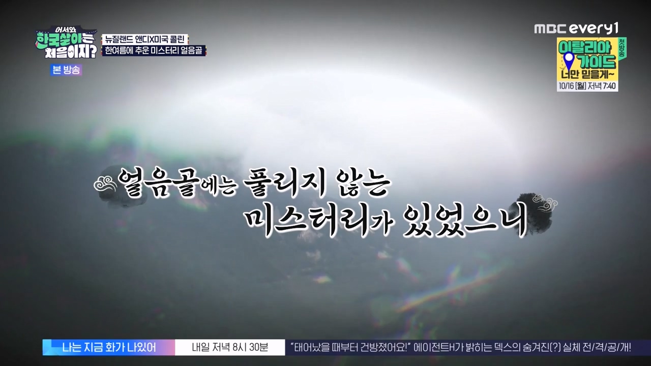 어서와 한국살이는 처음이지.E20.231003p-NEXT.mp4_20231004_200613.182.jpg